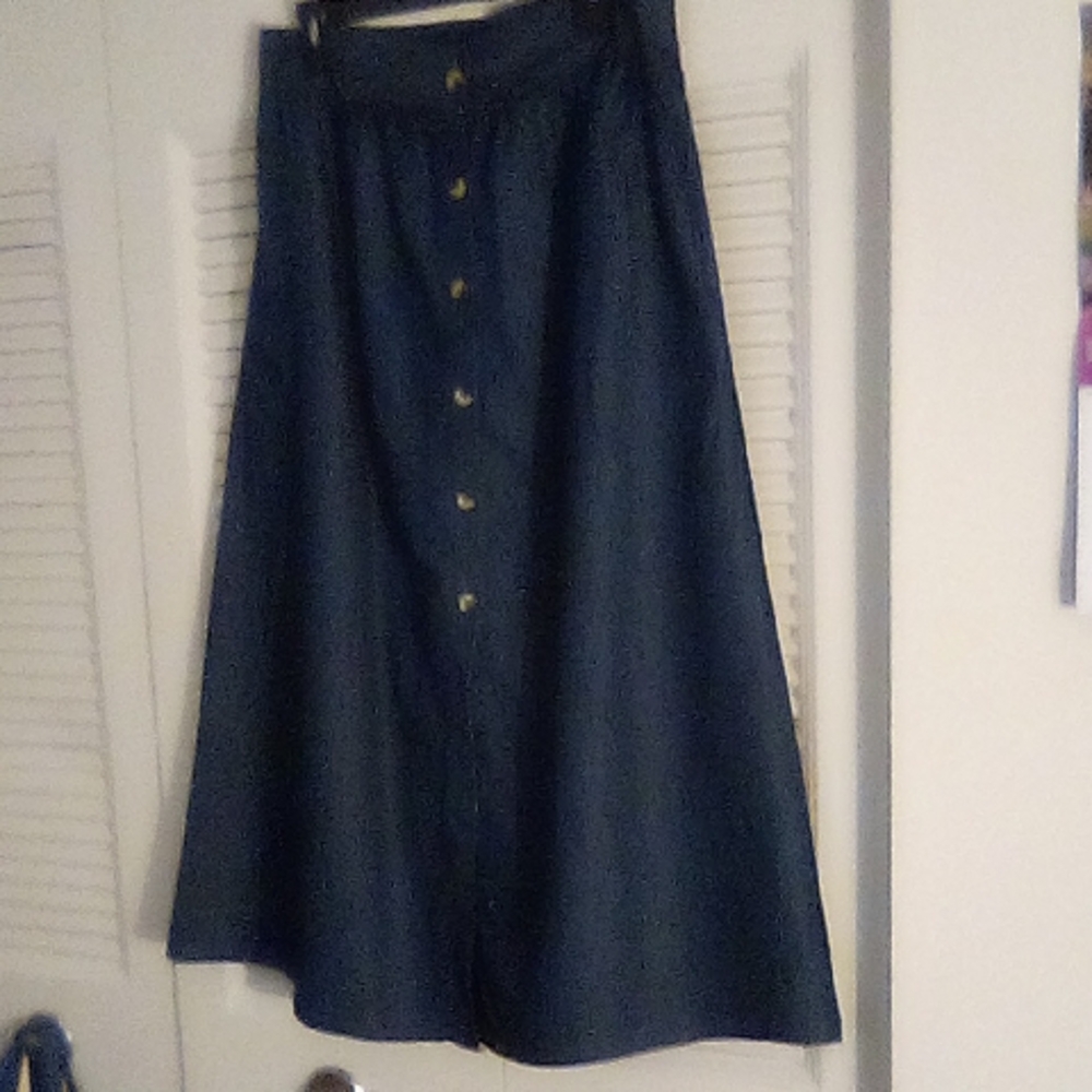 Elegant Blue Button-Down Skirt